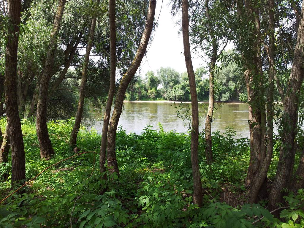 Pensiunea Lunca Arad Exterior foto